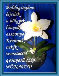 NŐNAPRA